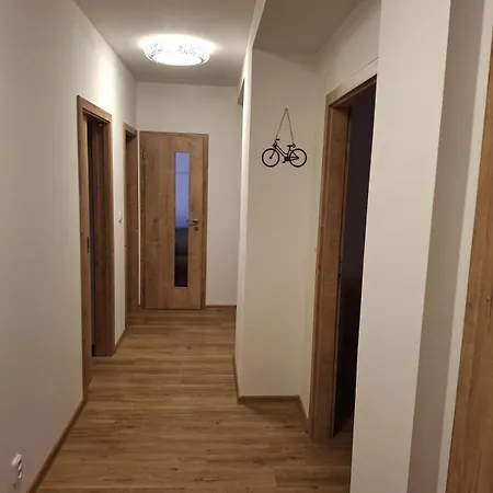 Apartamento U Rákosníčka Boží Dar